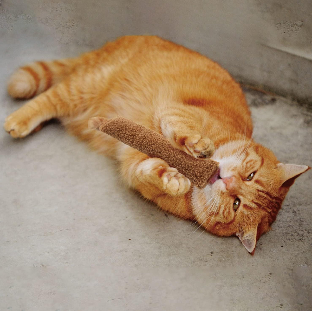 Jumpaws 2 Pack Natural Interactive Catnip & Silvervine Cat Kicker - Sherpa - image 3
