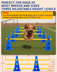 Dog Agility Course Backyard Set - 12 IN / Blue - image 2