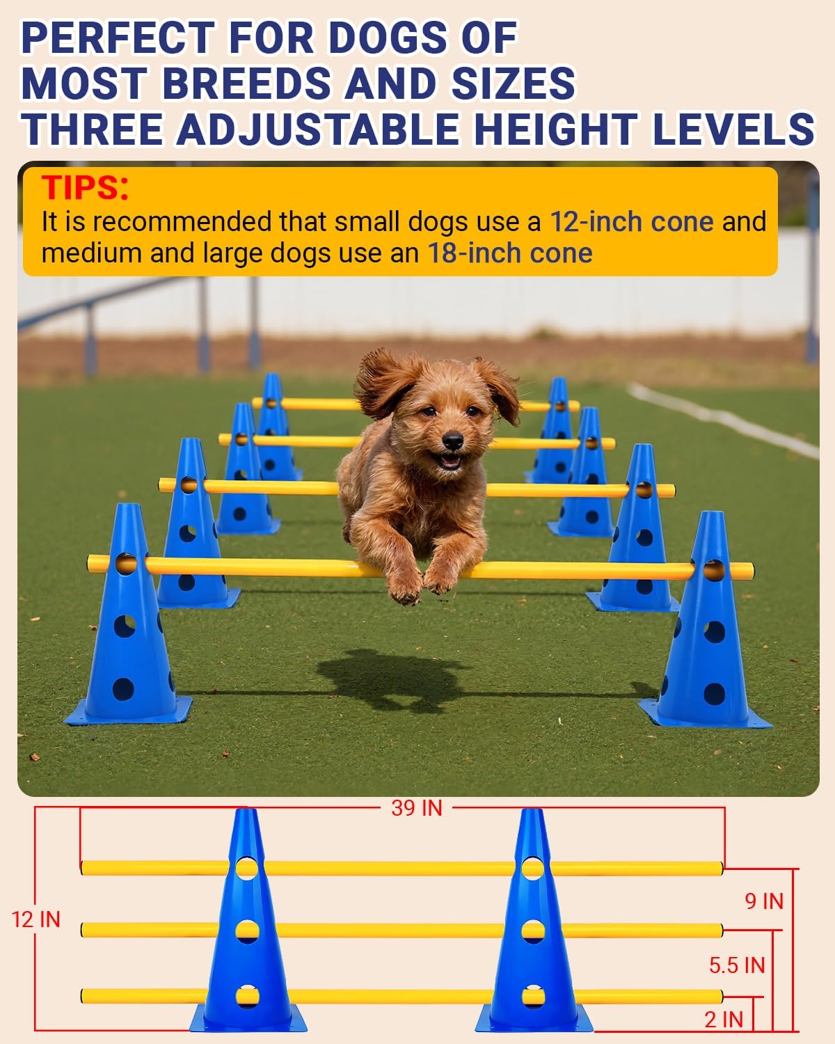 Dog Agility Course Backyard Set - 12 IN / Blue - image 2