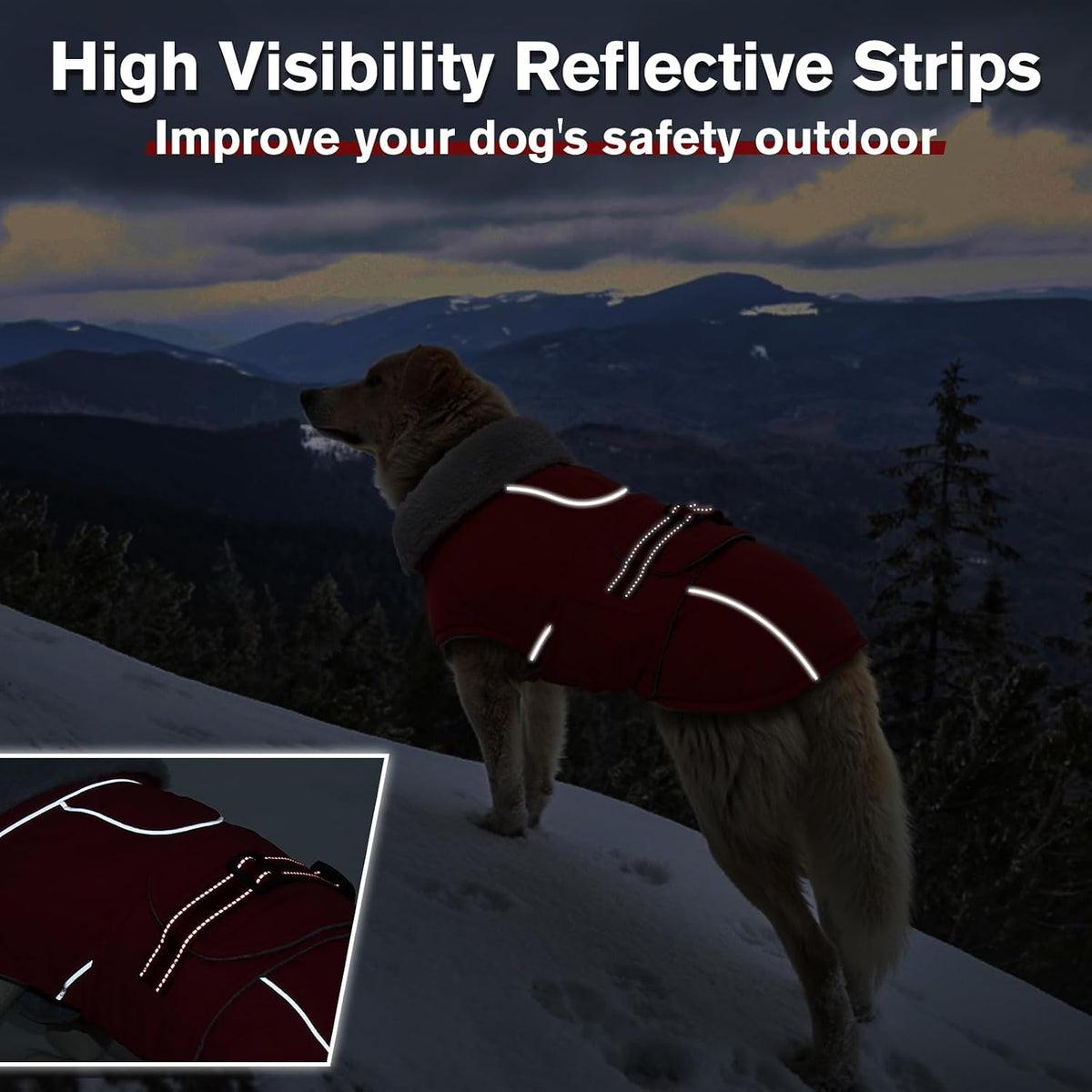 Dog Coats for Large Dogs Waterproof Dog Jacket with Adjustable Fit – Essentials for Dogs - M / Red - image 3