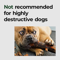 BALANCE Oxford Dog Bed for Large Dogs - 36.0"L x 23.0"W x 3.0"Th - image 4