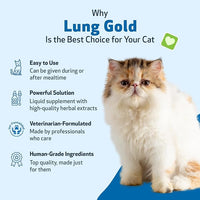 Pet Wellbeing Lung Gold for Cats - Lung Immune Support, Lower Respiratory Health, Open Airways, Normal Breathing, Reishi, Coptis - Veterinarian-Formulated Herbal Supplement - 4 oz (118 ml)