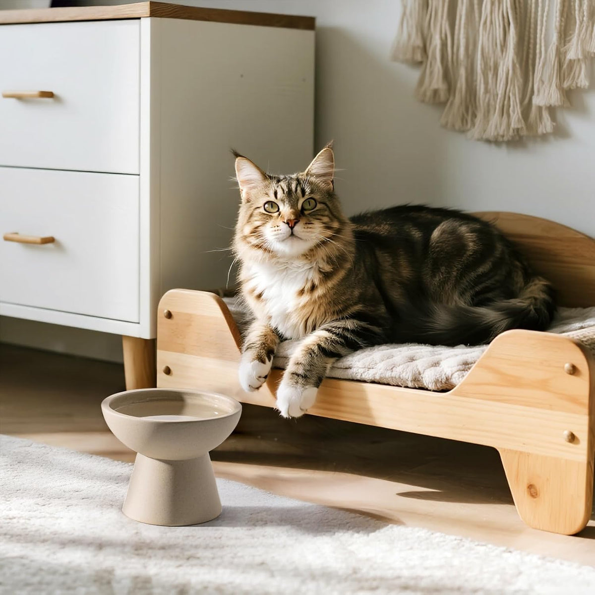 Extra Wide Elevated Ceramic 6.2" Shallow Cat Food Bowl – Essentials for Cats - Pottery Clay-Deeper - image 3