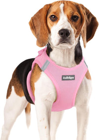 rabbitgoo Step-in Small Dog Harness - Light Pink / Xl(chest:20.0"-21.8")