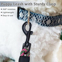WYuZe 5ft Puppy Leash for Small Dogs Cats - Pink Green / 5 FT (3~18 lbs) - image 3