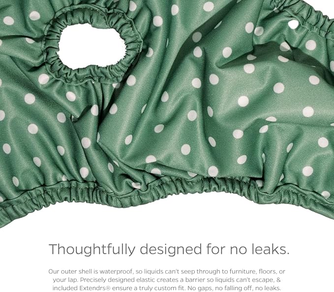 Pet Parents® Washable Dog Diapers (3pack) + Extendrs® of Durable Doggie Diapers, Premium Dog Diapers Female (Small, Daisy)