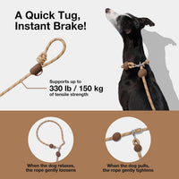 VETRESKA Hands-Free Dog Leash - Coffee Brown - image 3