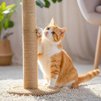 PowerKing Natural Sisal Replacement Scratching Post - 15.7''+15.7''+7.87''+7.87'' (2.67''Thick) / Beige - image 2