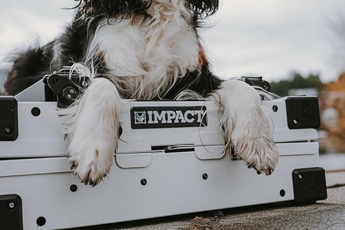 Impact Collapsible Dog Crate - Foldable Hard Crate for Extra Large Dogs - Heavy Duty Travel Kennel with Powder-Coated Aluminum - Quick Setup for Indoor & Outdoor (Gray, 40"+ (40.5" L x 27.5”W x 34" H)