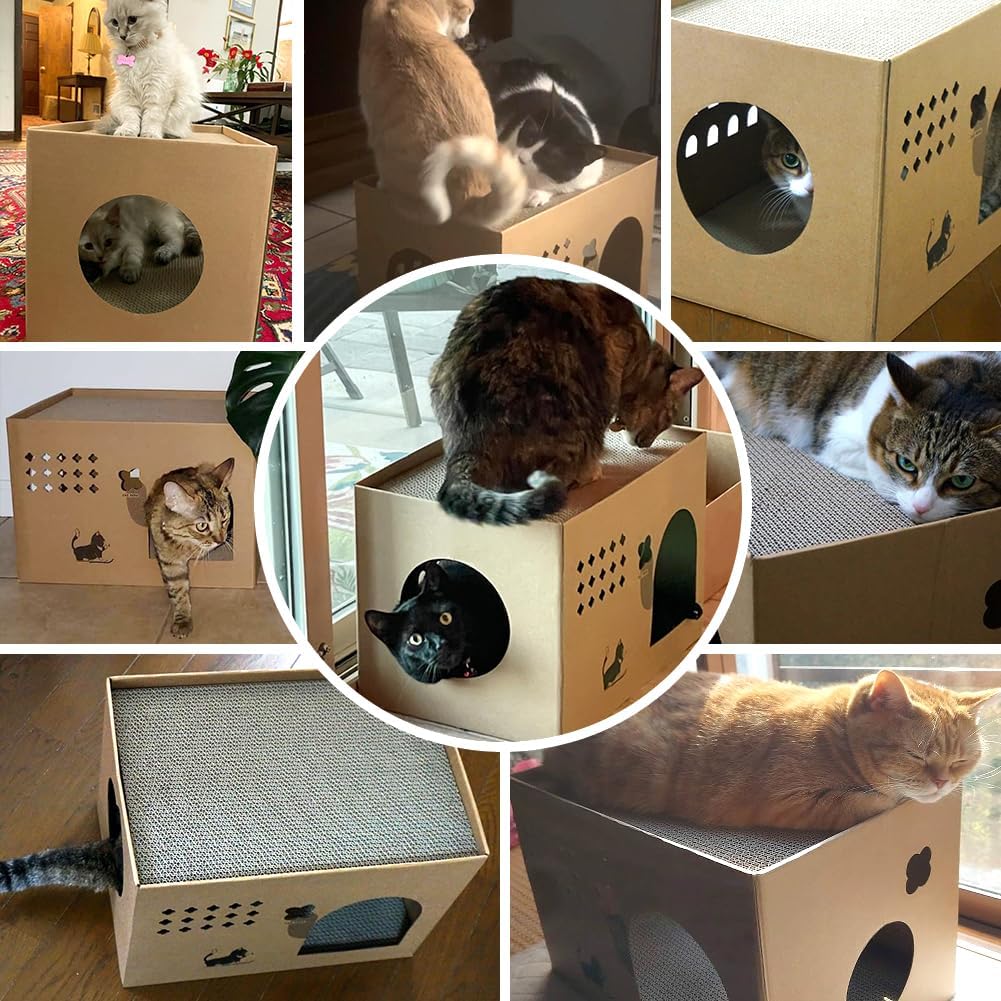 ARGOPET Cat Cardboard House with 2 PCS Scratching Pads – Essentials for Cats - Wood-Cactus - image 2