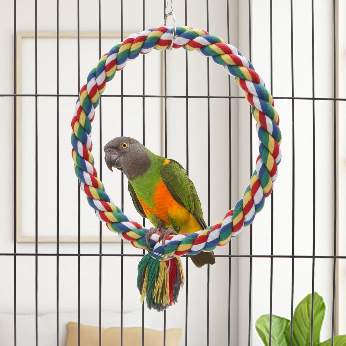 Wontee Bird Swing Colorful Rope Perch Climbing Toy for Parrots – Essentials for Birds - Small (7.5 inch) - image 4