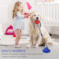 Aggressive Chewer Dog Toys - Rope Toys with Suction Cup, Teething Treats & Puzzle Food Dispensing Ball (Navy Blue)