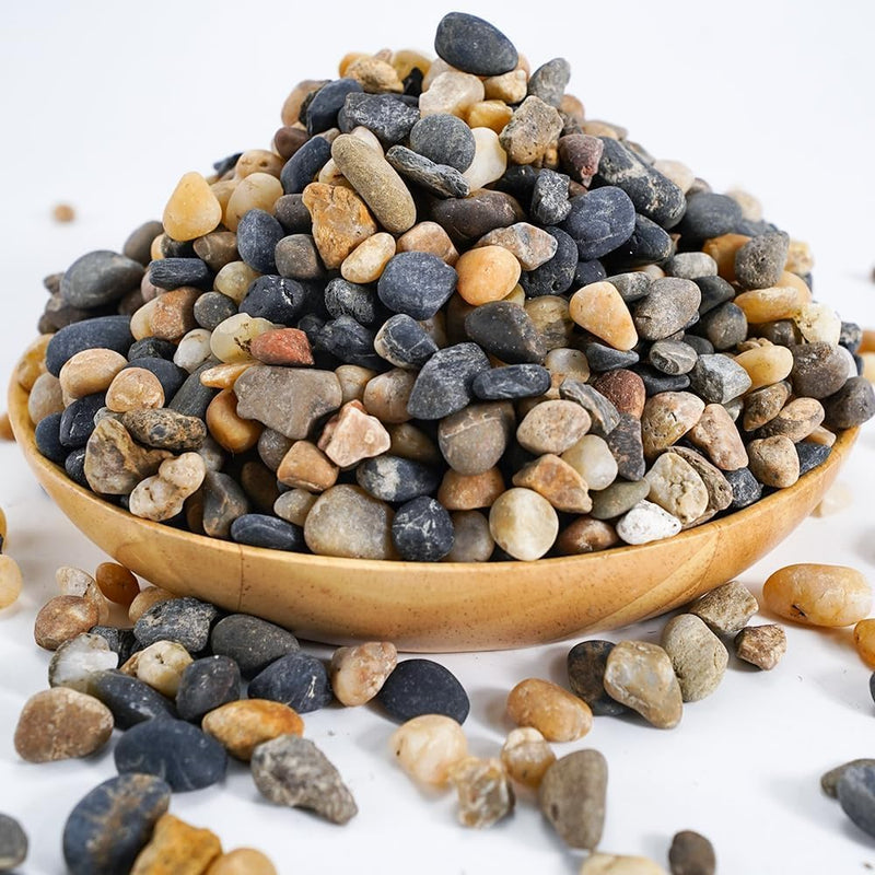 River Rocks Stones Natural Decorative Mixed Color Pebbles Fish Tank - 2.2 lb / Pebbles