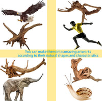 Vmiapxo 8-Pack Natural Driftwood, Sinkable Spider Wood – Essentials for Fish - 3.15''-4'' - image 4