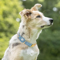 AirTag Dog Collar for Small Medium Large Breed - Adjustable Cute Pattern Dog Collar with Airtag Holder - Soft Leather Tracker GPS Apple Air Tag Pet Collars (Large, 17"-21" Neck Fit, Floral)