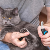 20 Pcs Cat Nail Clipper Bulk Kitten Claw Trimmer Pet Nail Cutter Claw Care for Cats, Kittens, Bunny, Puppy, Rabbit, Gatos, and More