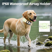 Dog Collar with Waterproof AirTag Holder & Anti-Lost QR Code, Cute Bling Warpping Adjustable Width for Small Medium Large Pet (Yellow, L)