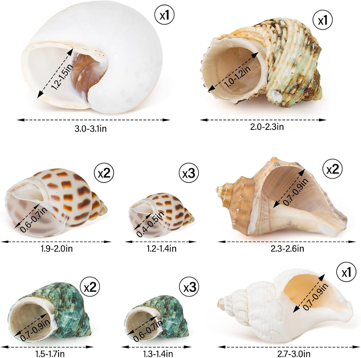 QEQEKAKA 15PCS Hermit Crab Shells Natural Mixed Seashells Replacement – Essentials for Reptiles And Amphibians - image 2