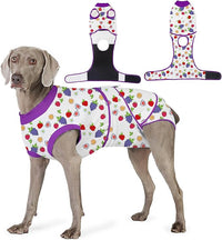 Recovery Suit for Dogs After Surgery, Professional Dog Surgical Suit for Female Spay, Male Neuter, E-Collar & Cone Alternative Dog Onesie for Abdominal Wounds Skin Disease, Purple, XS