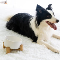 SPUNKYJUNKY 15° Slanted Ceramic Dog and Cat Bowl with Wooden Stand, Tilted Bulldog Food and Water Bowl No Slip Non-Spill for Cats Medium Dogs Big Face Pets 28.7 OZ (3.6 Cups, White)