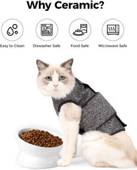 Elevated Cat Food Bowl, 5 Oz Ceramic Raised and Tilted Water Bowl, Anti Vomiting and Protect Pets' - White / 5 OZ - 4 Pack - image 4