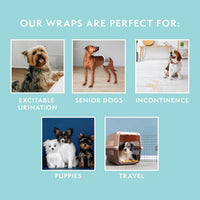 Simple Solution Male Dog Diapers, Disposable Belly Bands, M - Toy / 12 - image 4