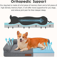 Orthopedic Dog Beds Large Sized Dog, 3 Inch Memory Foam Pet Bed for Medium and Large Dogs, Washable Removable Cover, Nonskid Bottom, Waterproof, 36x27 Inches L Dark Grey