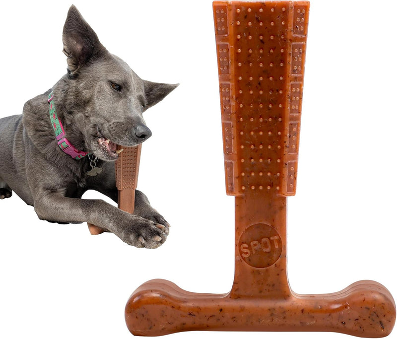 SPOT Bam-Bones Plus T-Bone Dog Chew - Beef / Medium