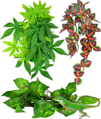 KATUMO Reptile Plants, Bearded Dragons, Lizards, Geckos, Toads - Green+fire Red