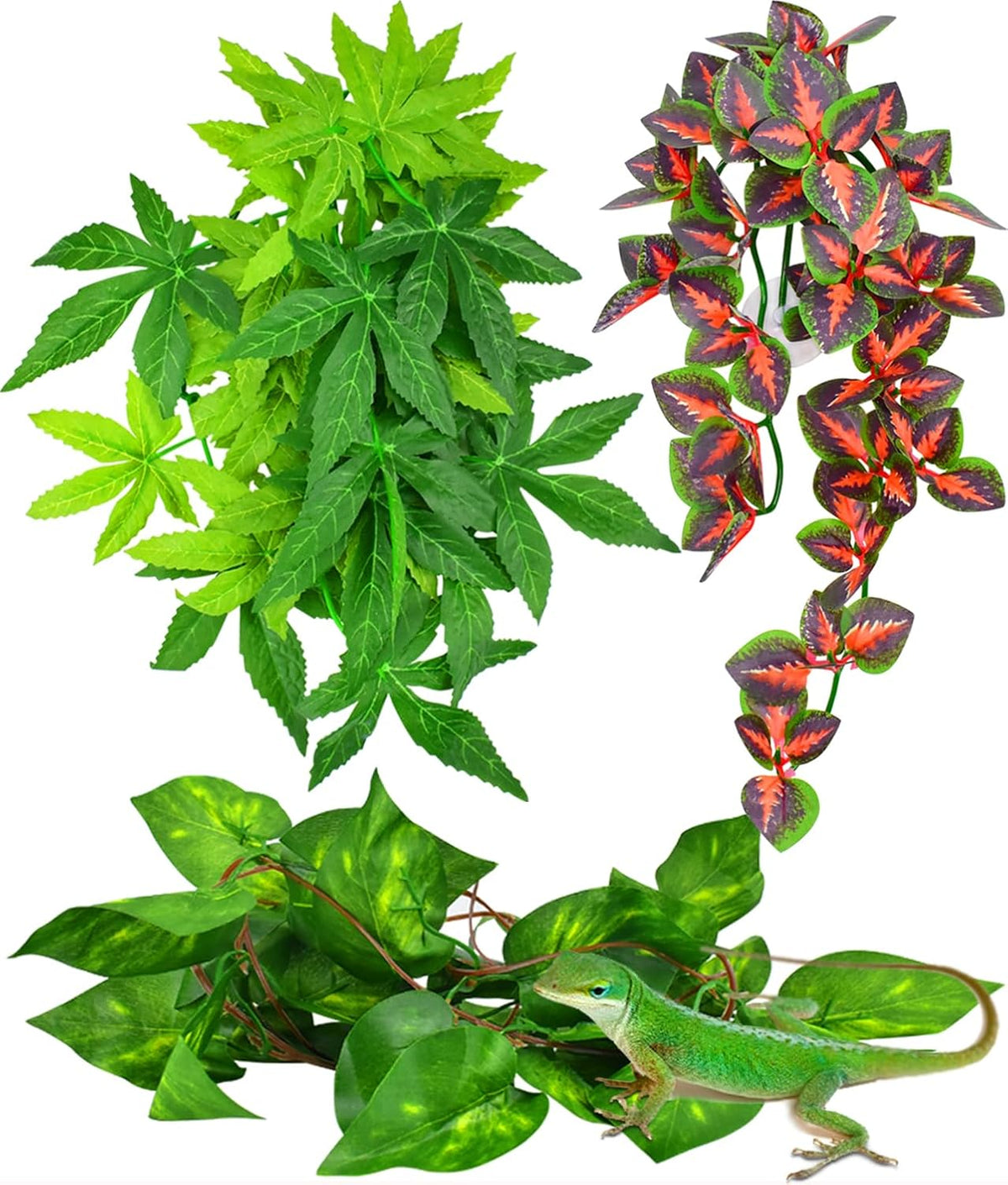 KATUMO Reptile Plants, Bearded Dragons, Lizards, Geckos, Toads - Green+fire Red