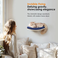 Curved Cat Shelves and Perches - Wood Shelf+Bule Cushion - image 2