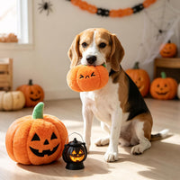 Christmas Dog Toys, Durable Crutch Bone Rope Toys 4 Pack - Corn &Pumpkin & Chicken - image 3