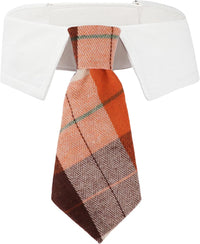 ADOGGYGO Fall Dog Neck Tie - Medium / Orange-2