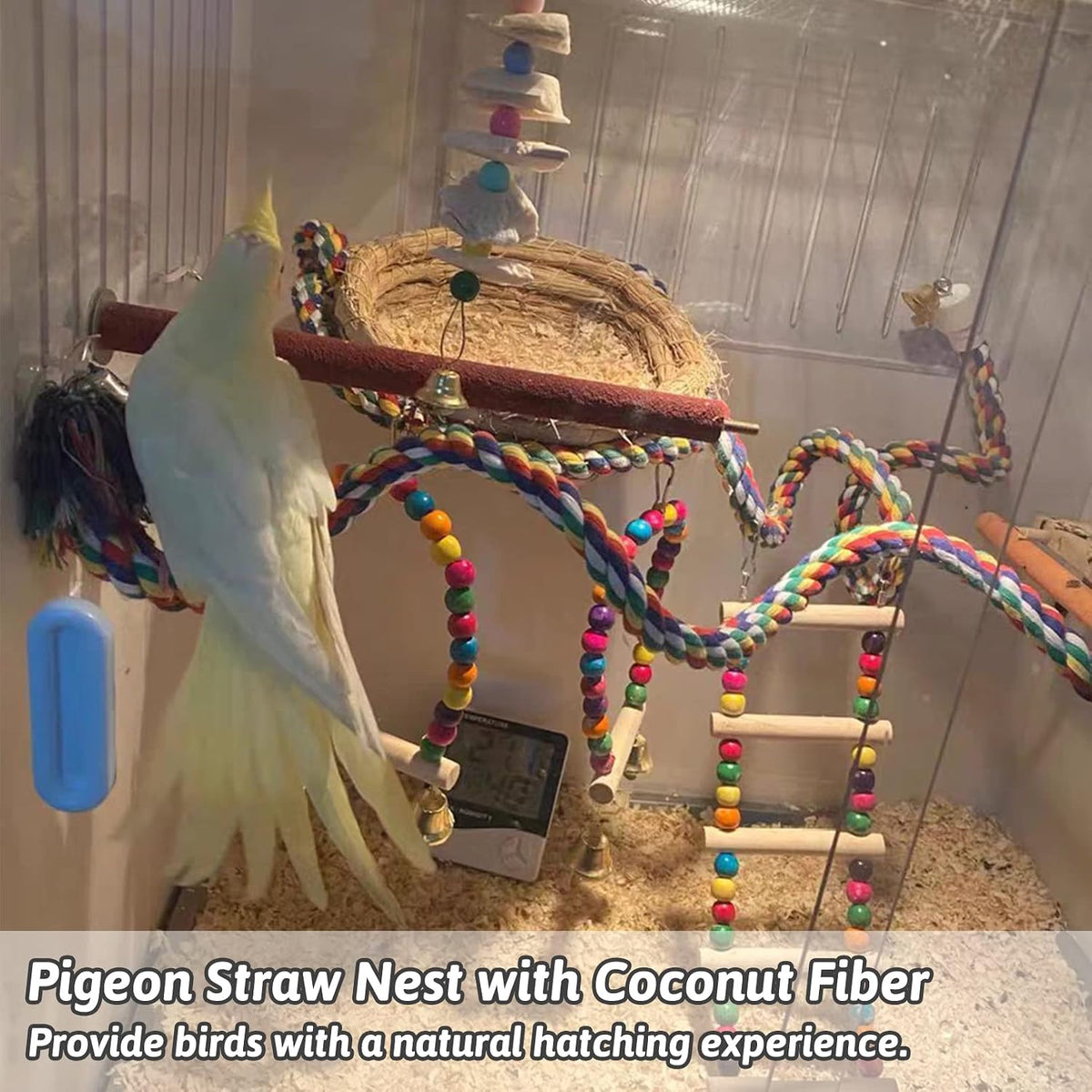 Handmade Woven Bird Spawning Nest with Coconut Fiber Liner Flat Base - image 2