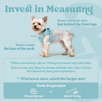 rabbitgoo Step-in Small Dog Harness - Mint Blue / Xl(chest:20.0"-21.8") - image 2