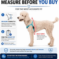 ShawnCo Dream Walk Pro No-Pull Dog Harness – Essentials for Dogs - Small / Icy Lilac - image 4