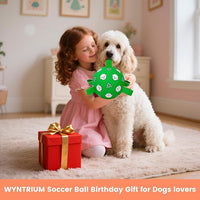 Dog Toys Ball, Durable Dog Soccer Ball with Straps, Interactive Dog Toys for Tug of War, Water Pool Puppy Toys for Indoor/Outdoor – Fun Dog Birthday Gift for Small & Medium Dogs, 6 Inch