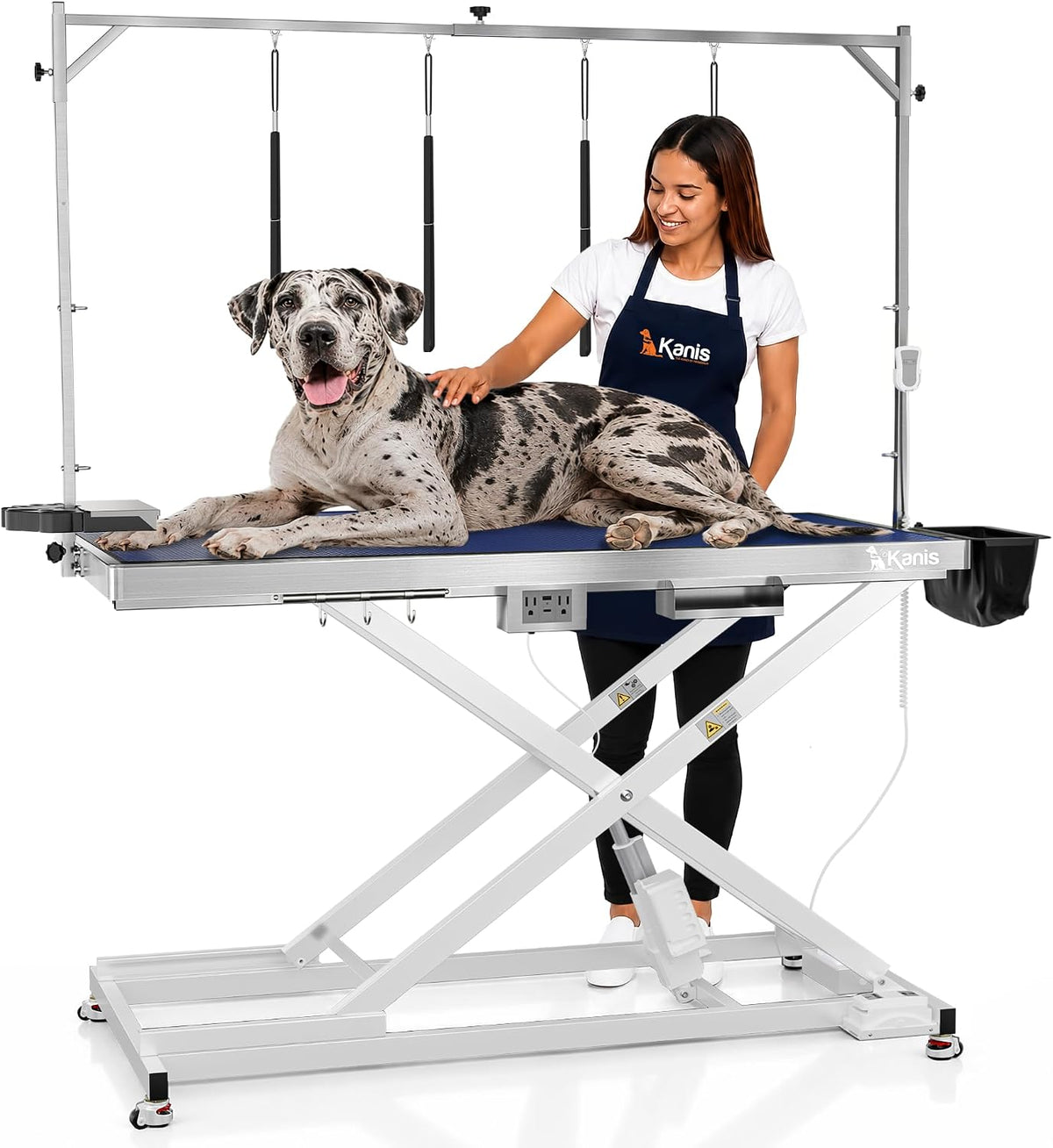 Professional Electric Dog Grooming Table, Heavy Duty - WHITE / 60"