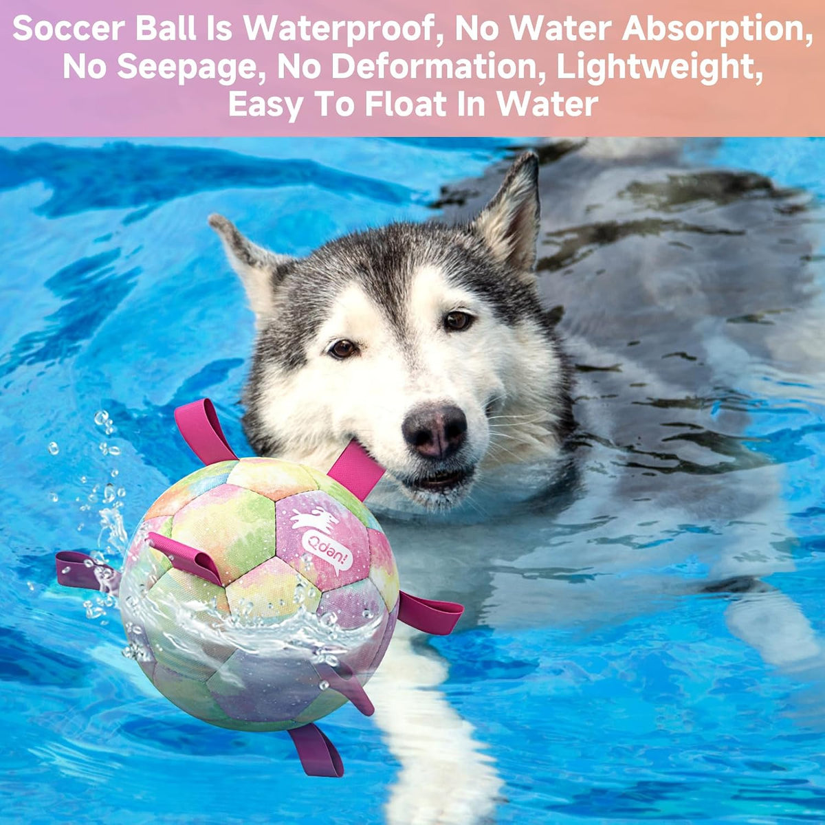 QDAN Dog Soccer Ball Toy with Strap - Rainbow / Extra Large Size 4 - image 3
