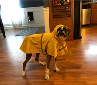 Large Dog Raincoat Adjustable Pet Water Proof Clothes Lightweight - Yellow / 3X-Large (Pack of 1) - image 4