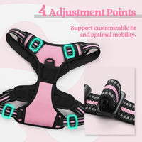 rabbitgoo Dog Harness No Pull with 2 Leash Clips, Adjustable Soft Padded, Reflective Oxford No Choke Pet Vest with Easy Control Handle for Large Dogs, Pink, L