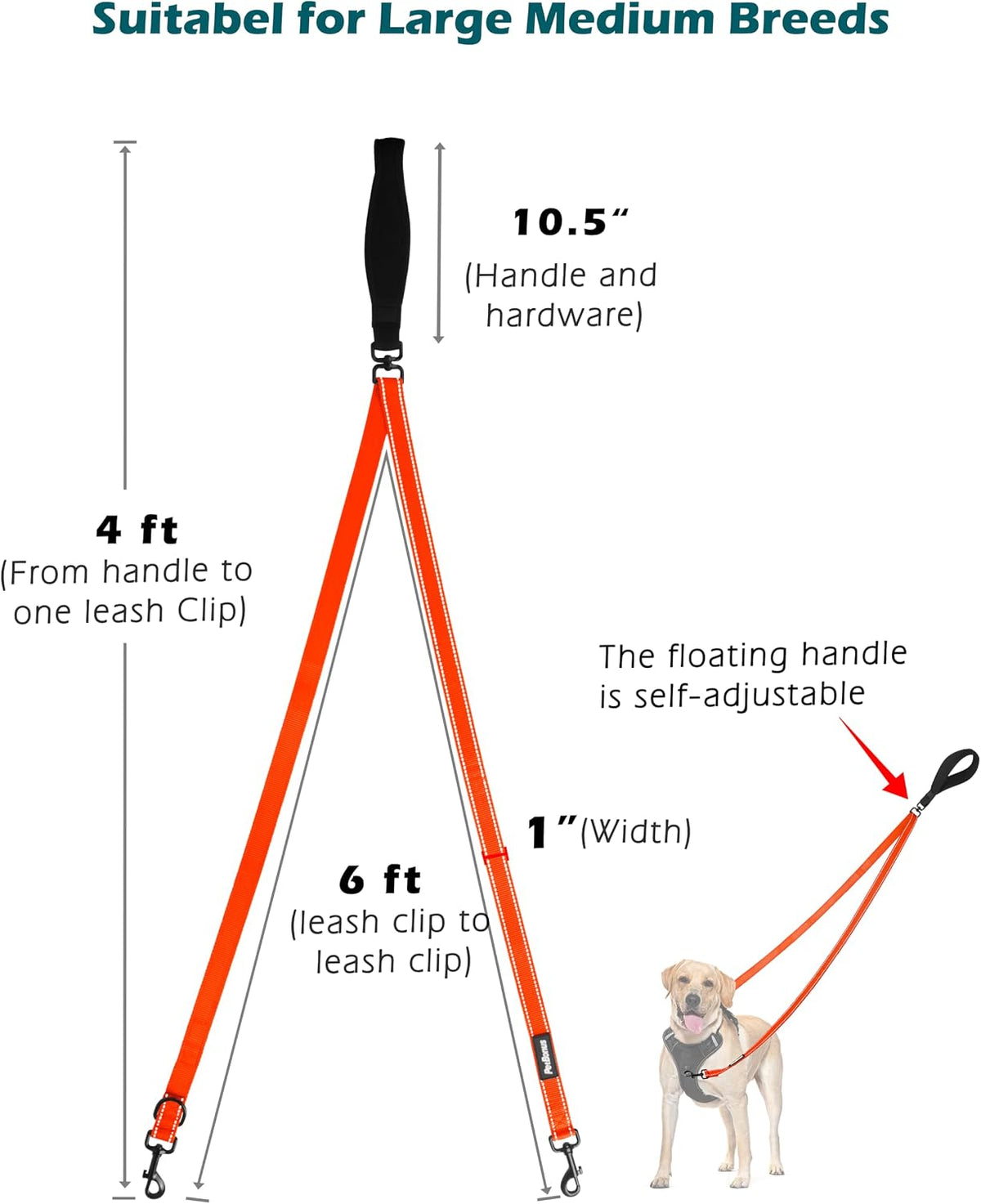 Two Point Control Dog Leash, No Tangle Training Walking Leashes – Essentials for Dogs - Orange - image 4