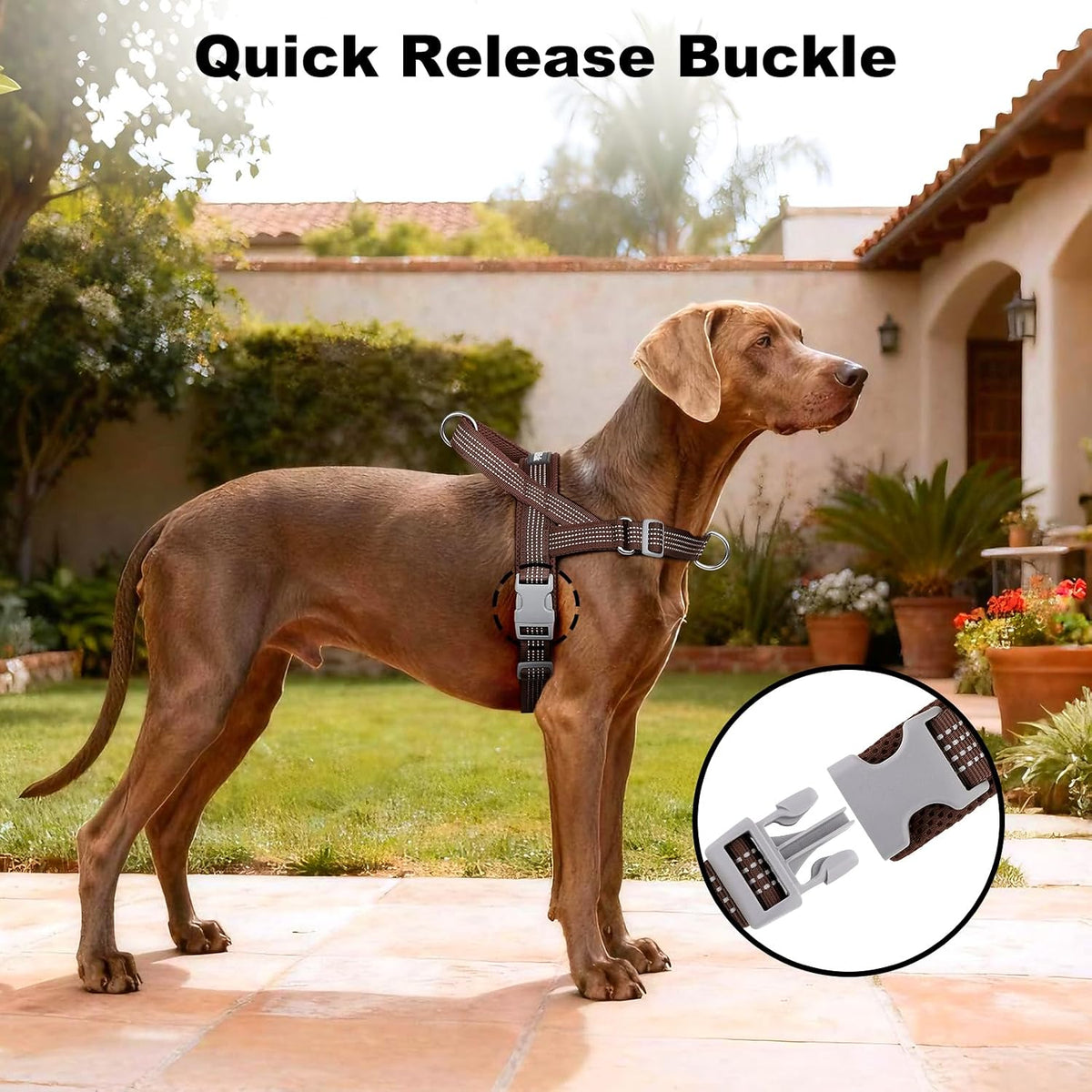 No Pull Dog Harness with Handle - Chocolate / XS - image 3