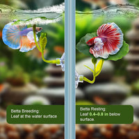 5 Pcs Betta Hammock Leaf & Tunnel, Betta Fish Tank Accessories – Essentials for Fish - image 4