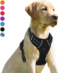 BARKBAY Dog Harness No Pull for Large Dogs Front Back Clips - Large(Chest:24.5-32.5") / Black