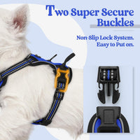 rabbitgoo Dog Harness, No Pull for Large Dogs with 2 Leash Clips - X-Small / Dazzling Blue - image 3