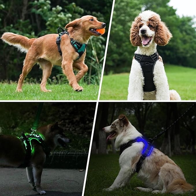 Taglory Light Up Dog Harness, Rechargeable No Pull Dog Vest with 3 Lightning Modes, Reflective Dog Harness with 2 Leash Clips & 4 Adjustable Slide Strips for Large Dogs, Black-Purple, L