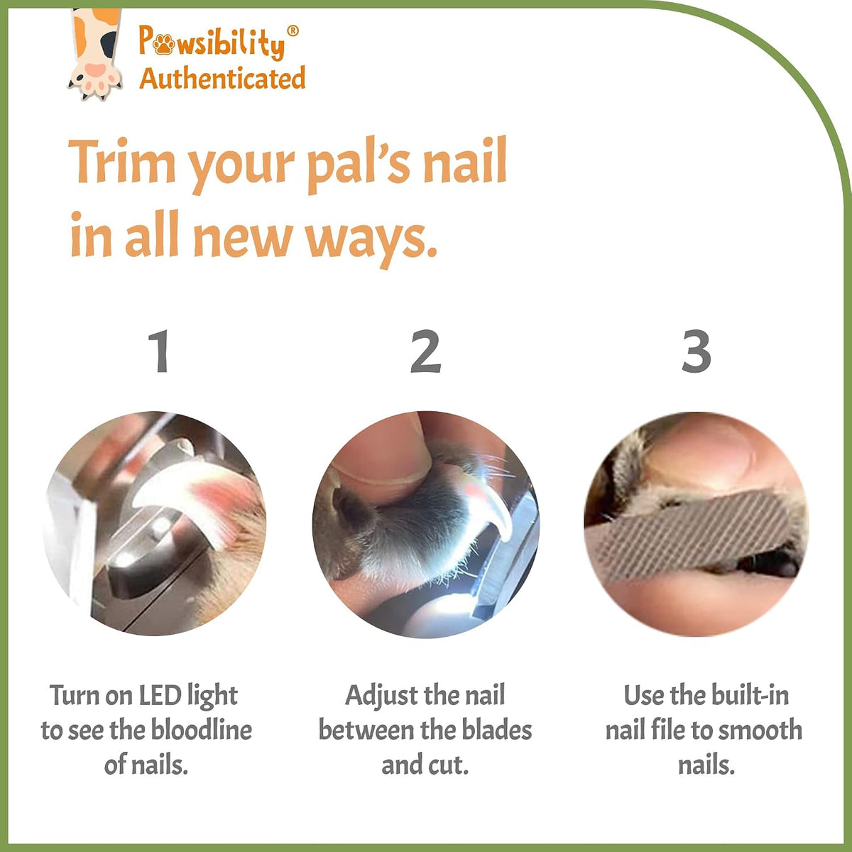 Reinvented Pet Nail Clippers for Your Pal - Small&Medium / Green - image 3