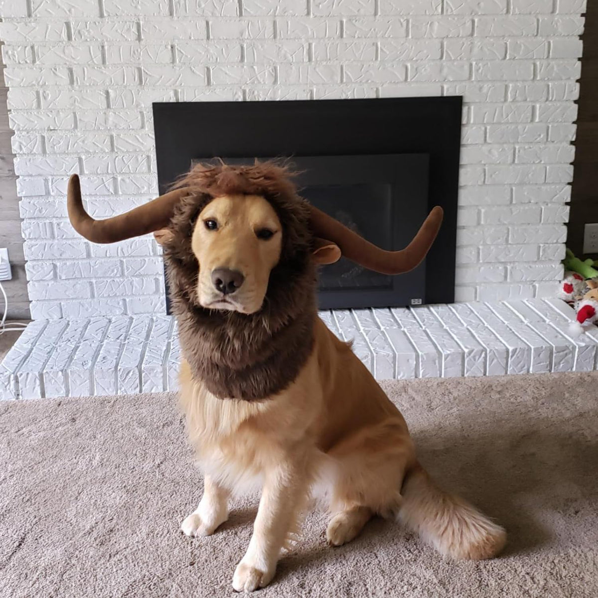 Funny Pet Reindeer Moose Costumes for Dog - Bull / Size L - image 3