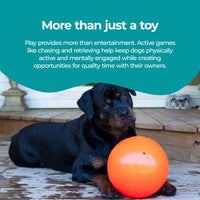Jolly Pets Bounce-n-Play Dog Toy Ball - Orange / Large (8 in) - image 3